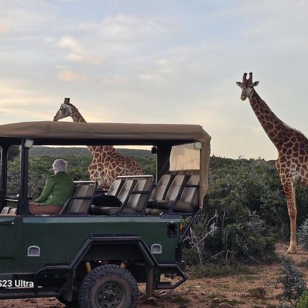 Valley Bushveld Country Lodge Аддо Экстерьер фото