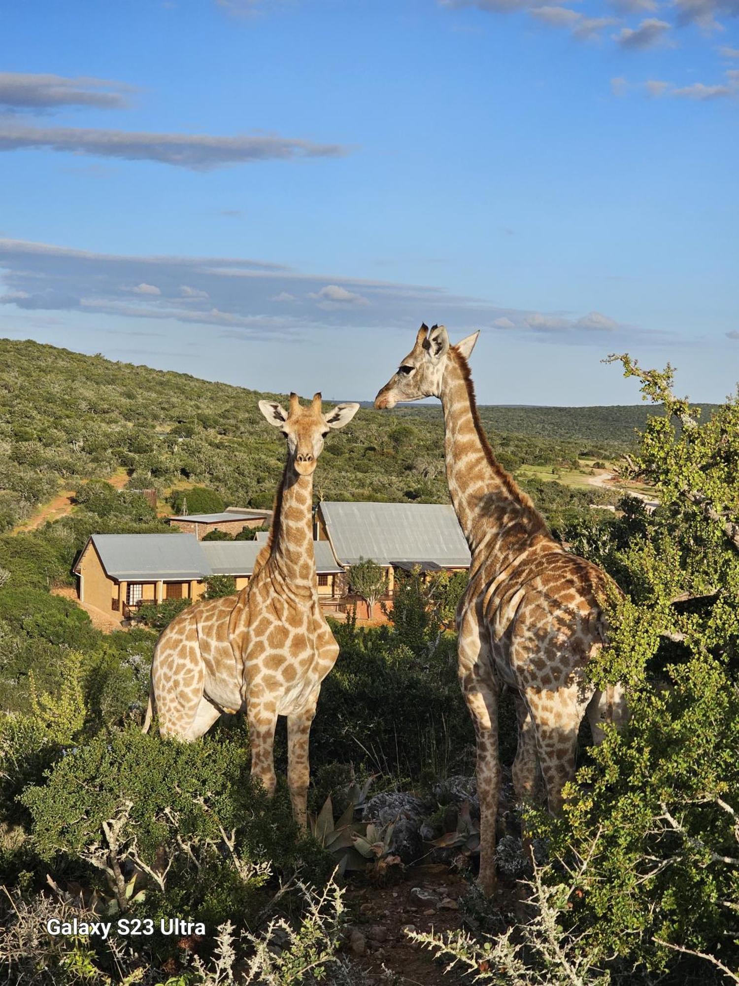 Valley Bushveld Country Lodge Аддо Экстерьер фото