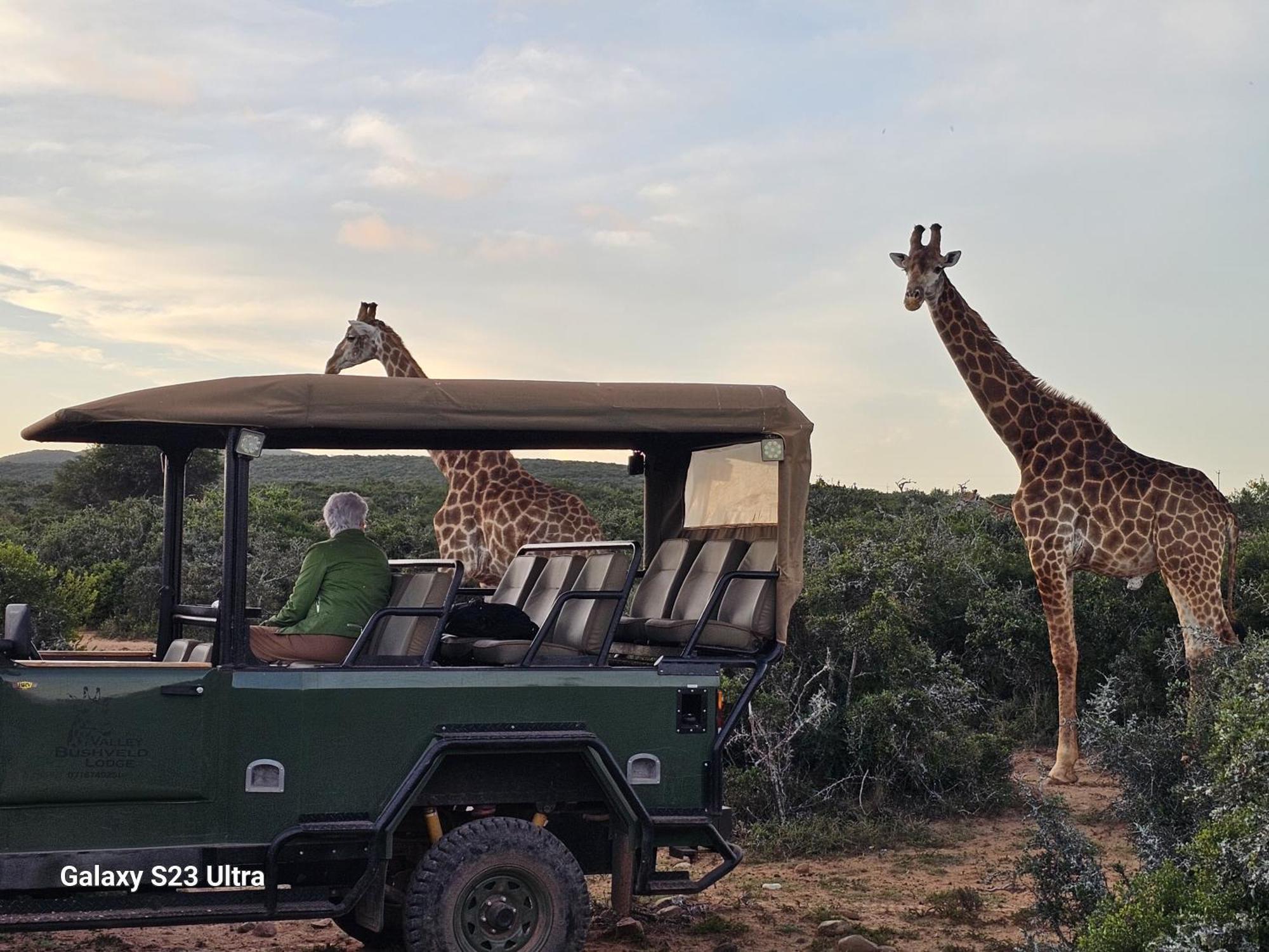 Valley Bushveld Country Lodge Аддо Экстерьер фото