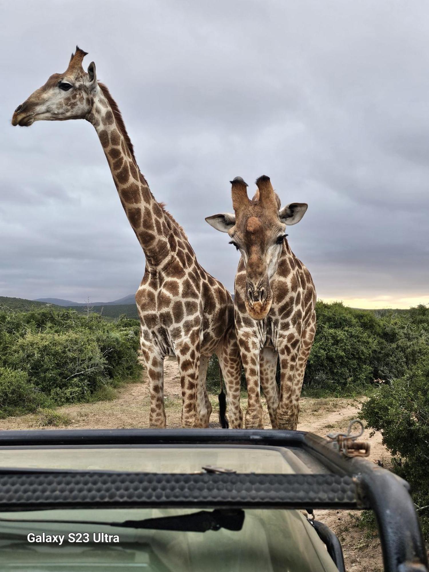 Valley Bushveld Country Lodge Аддо Экстерьер фото