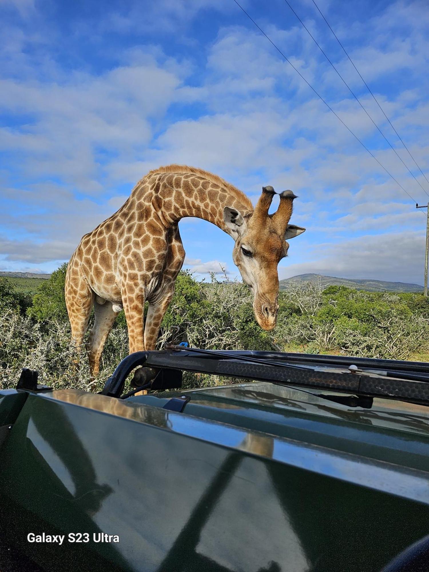 Valley Bushveld Country Lodge Аддо Экстерьер фото