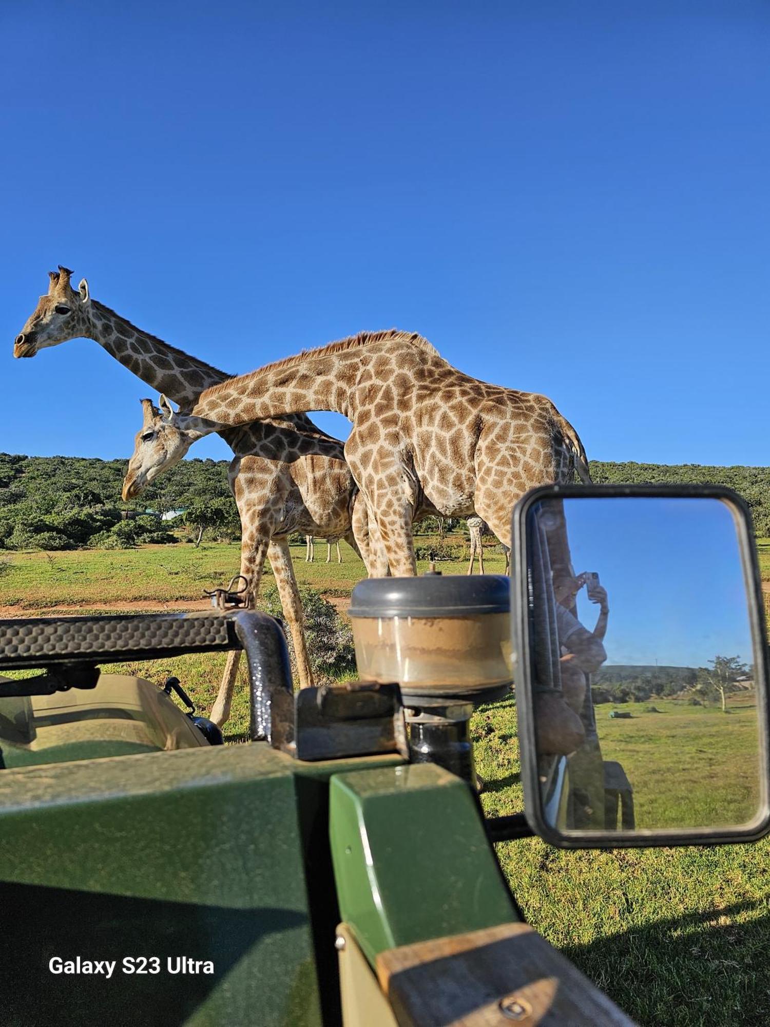 Valley Bushveld Country Lodge Аддо Экстерьер фото