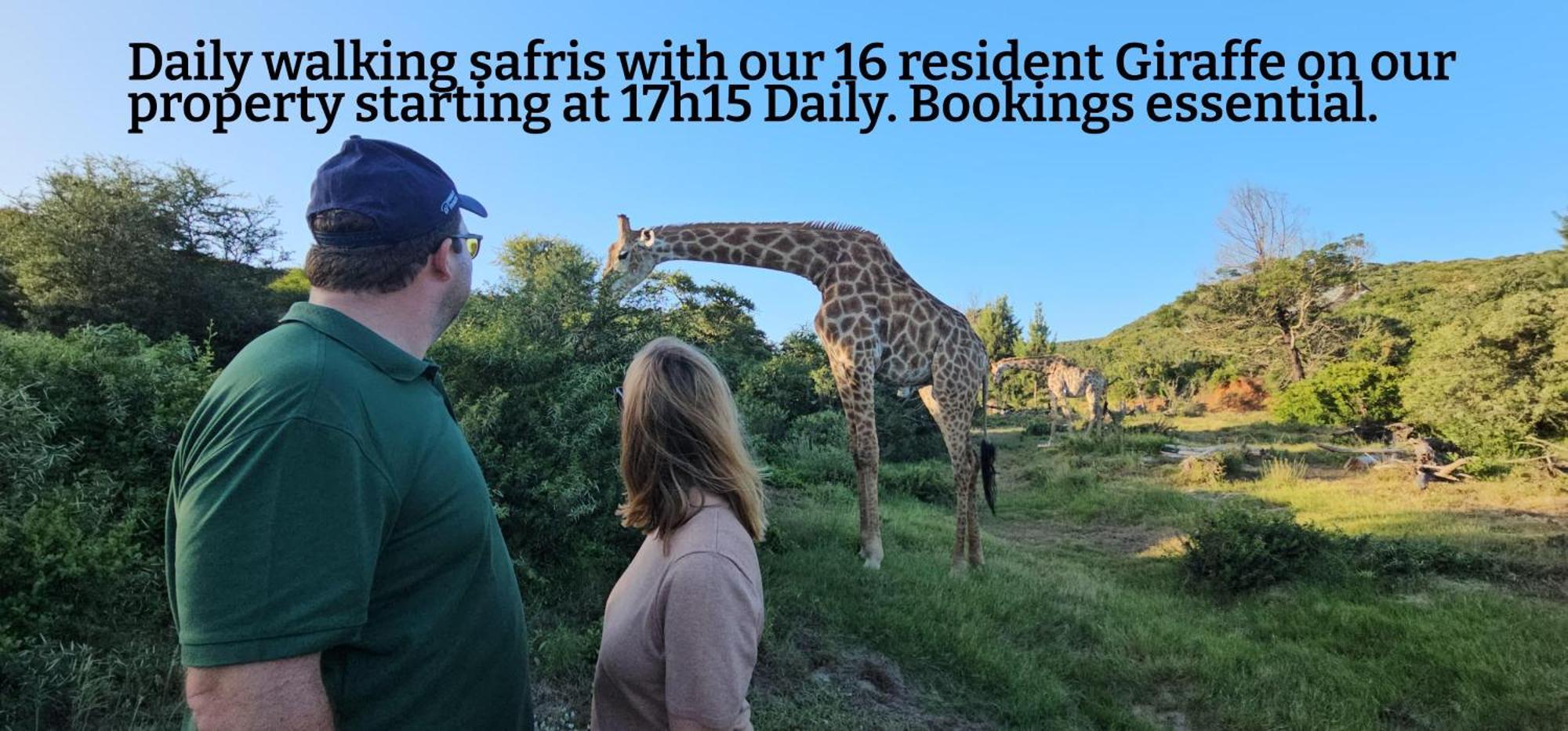 Valley Bushveld Country Lodge Аддо Экстерьер фото