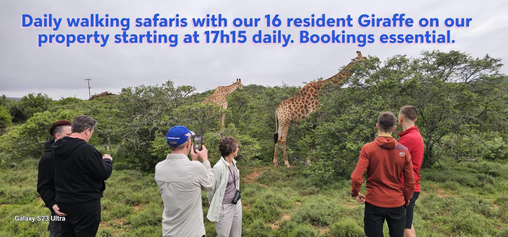 Valley Bushveld Country Lodge Аддо Экстерьер фото